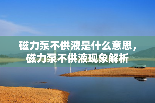 磁力泵不供液是什么意思，磁力泵不供液现象解析