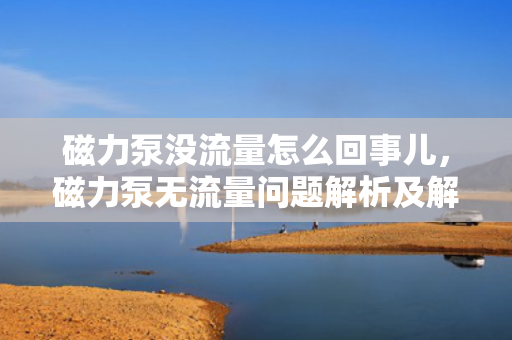 磁力泵没流量怎么回事儿，磁力泵无流量问题解析及解决方案