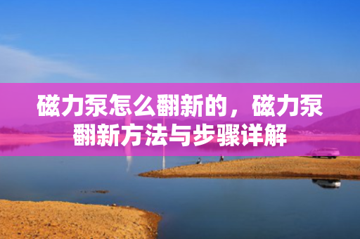 磁力泵怎么翻新的，磁力泵翻新方法与步骤详解