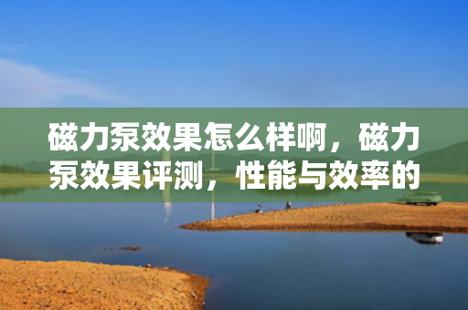 磁力泵效果怎么样啊，磁力泵效果评测，性能与效率的综合分析
