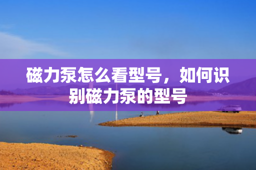 磁力泵怎么看型号，如何识别磁力泵的型号
