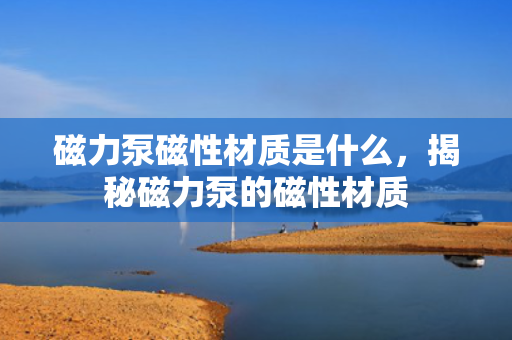 磁力泵磁性材质是什么，揭秘磁力泵的磁性材质