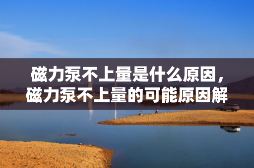 磁力泵不上量是什么原因，磁力泵不上量的可能原因解析