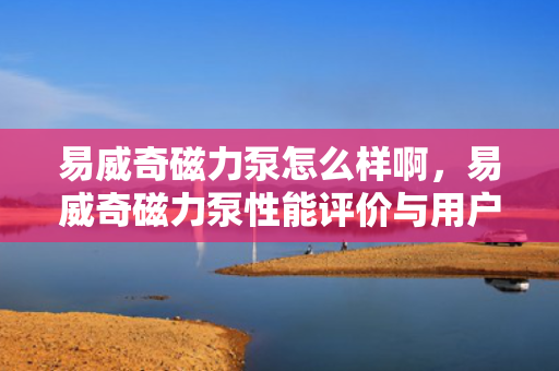 易威奇磁力泵怎么样啊，易威奇磁力泵性能评价与用户反馈