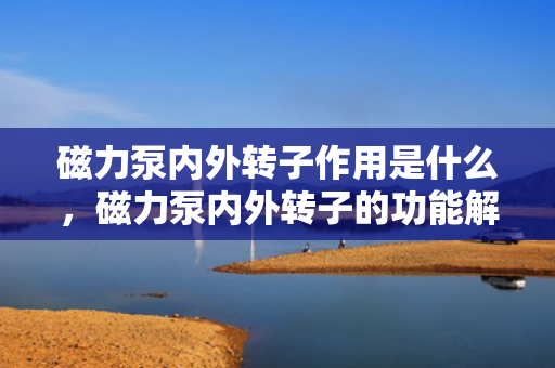 磁力泵内外转子作用是什么，磁力泵内外转子的功能解析