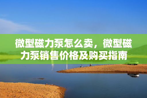 微型磁力泵怎么卖，微型磁力泵销售价格及购买指南