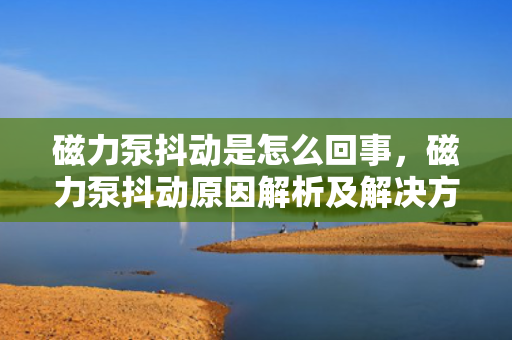 磁力泵抖动是怎么回事，磁力泵抖动原因解析及解决方法