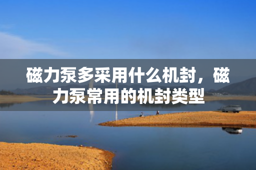 磁力泵多采用什么机封，磁力泵常用的机封类型