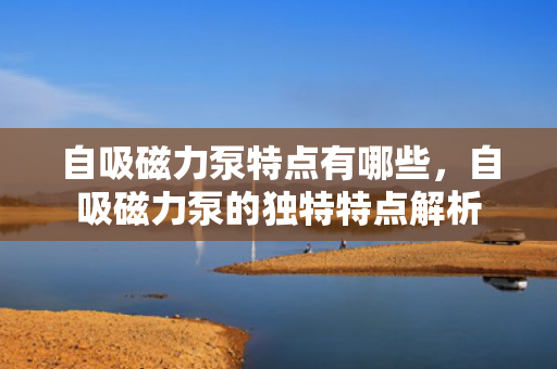 自吸磁力泵特点有哪些，自吸磁力泵的独特特点解析