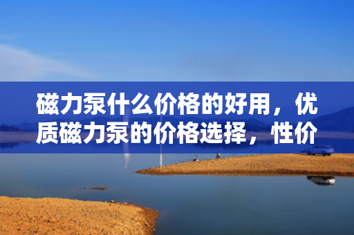 磁力泵什么价格的好用，优质磁力泵的价格选择，性价比高的型号推荐