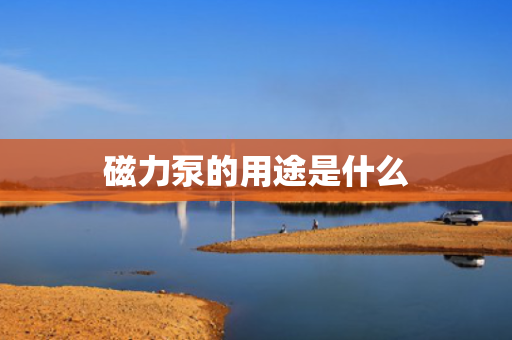 磁力泵的用途是什么