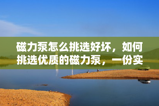 磁力泵怎么挑选好坏，如何挑选优质的磁力泵，一份实用指南