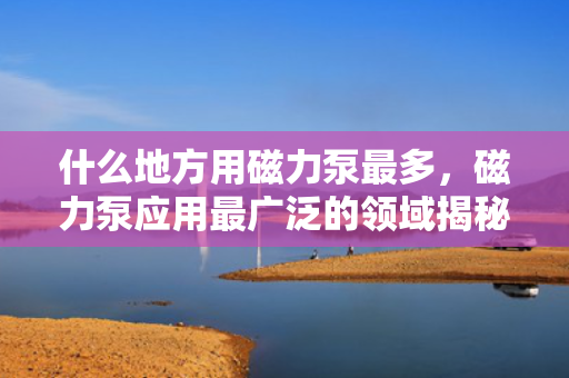 什么地方用磁力泵***多，磁力泵应用***广泛的领域揭秘