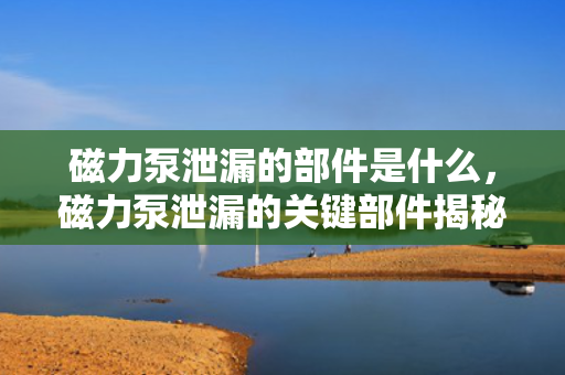 磁力泵泄漏的部件是什么，磁力泵泄漏的关键部件揭秘