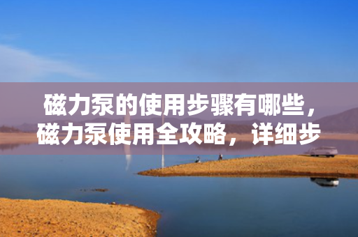 磁力泵的使用步骤有哪些，磁力泵使用全攻略，详细步骤解析