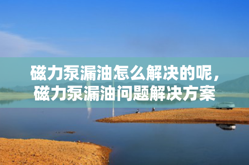 磁力泵漏油怎么解决的呢，磁力泵漏油问题解决方案