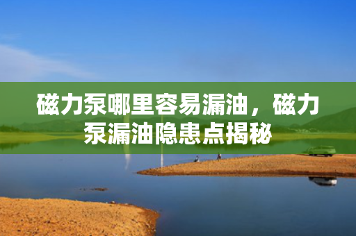 磁力泵哪里容易漏油，磁力泵漏油隐患点揭秘