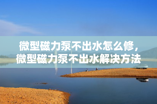 微型磁力泵不出水怎么修，微型磁力泵不出水解决方法及维修指南