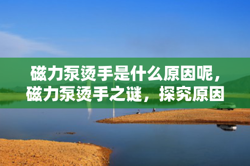 磁力泵烫手是什么原因呢，磁力泵烫手之谜，探究原因与解决方案