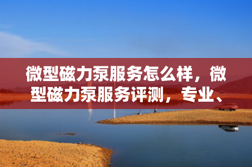 微型磁力泵服务怎么样，微型磁力泵服务评测，专业、高效、满意之选