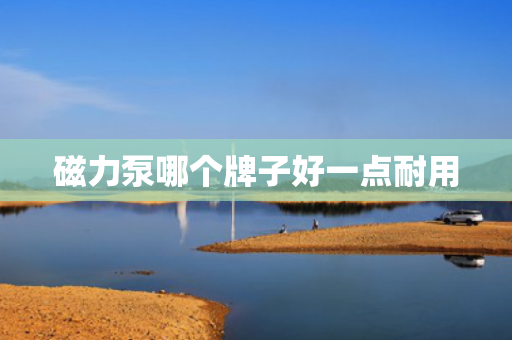 磁力泵哪个牌子好一点耐用