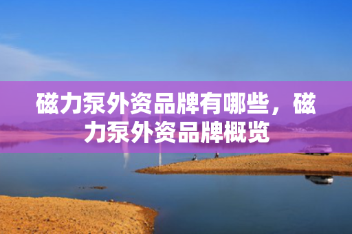 磁力泵外资品牌有哪些，磁力泵外资品牌概览