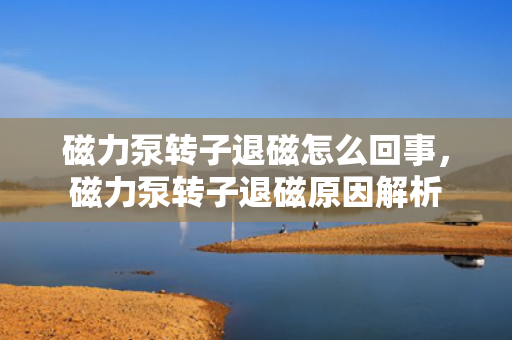 磁力泵转子退磁怎么回事，磁力泵转子退磁原因解析