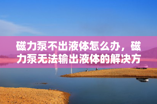 磁力泵不出液体怎么办，磁力泵无法输出液体的解决方法