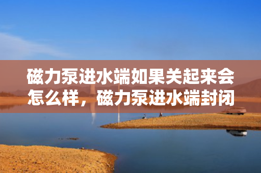 磁力泵进水端如果关起来会怎么样，磁力泵进水端封闭后的影响及后果解析