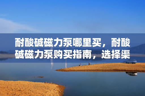 耐酸碱磁力泵哪里买，耐酸碱磁力泵购买指南，选择渠道与注意事项