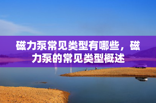 磁力泵常见类型有哪些，磁力泵的常见类型概述