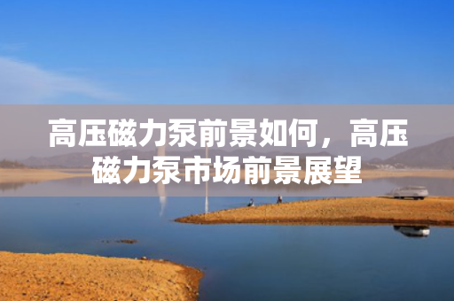 高压磁力泵前景如何，高压磁力泵市场前景展望