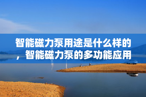 智能磁力泵用途是什么样的，智能磁力泵的多功能应用及介绍