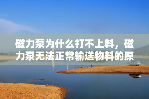 磁力泵为什么打不上料，磁力泵无法正常输送物料的原因解析