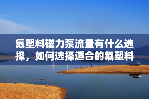 氟塑料磁力泵流量有什么选择，如何选择适合的氟塑料磁力泵流量