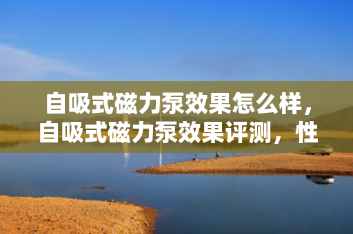 自吸式磁力泵效果怎么样，自吸式磁力泵效果评测，性能***，高效稳定