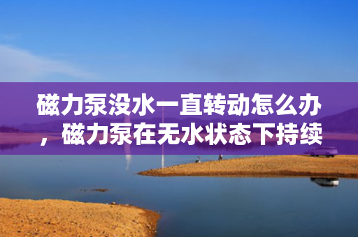 磁力泵没水一直转动怎么办，磁力泵在无水状态下持续转动的解决方案