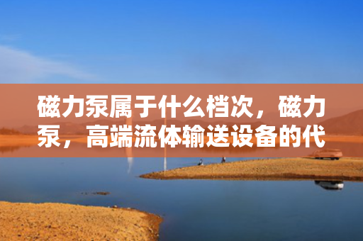 磁力泵属于什么档次，磁力泵，高端流体输送设备的代表