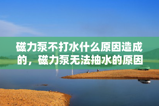 磁力泵不打水什么原因造成的，磁力泵无法抽水的原因解析