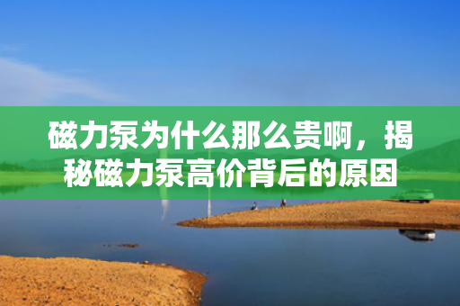 磁力泵为什么那么贵啊，揭秘磁力泵高价背后的原因