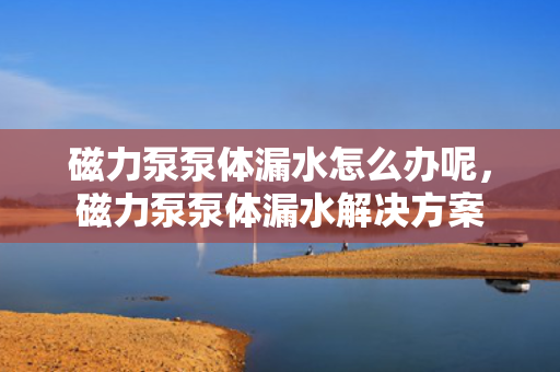 磁力泵泵体漏水怎么办呢，磁力泵泵体漏水解决方案