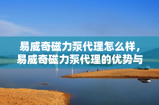 易威奇磁力泵代理怎么样，易威奇磁力泵代理的优势与前景分析