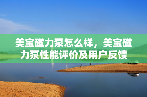 美宝磁力泵怎么样，美宝磁力泵性能评价及用户反馈