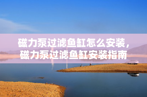 磁力泵过滤鱼缸怎么安装，磁力泵过滤鱼缸安装指南