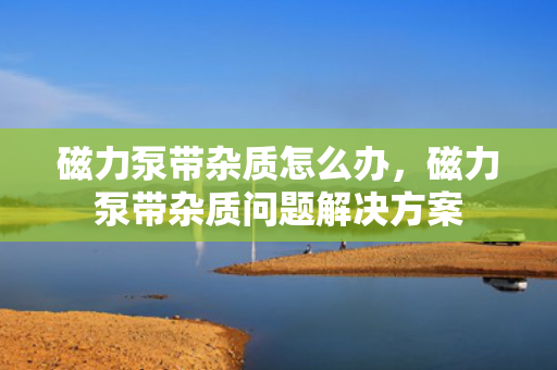 磁力泵带杂质怎么办，磁力泵带杂质问题解决方案