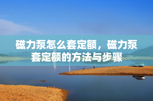 磁力泵怎么套定额，磁力泵套定额的方法与步骤