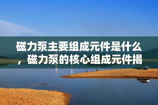 磁力泵主要组成元件是什么，磁力泵的核心组成元件揭秘