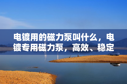 电镀用的磁力泵叫什么，电镀专用磁力泵，高效、稳定的流体输送解决方案