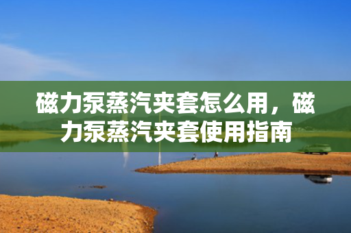 磁力泵蒸汽夹套怎么用，磁力泵蒸汽夹套使用指南