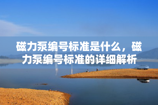 磁力泵编号标准是什么，磁力泵编号标准的详细解析